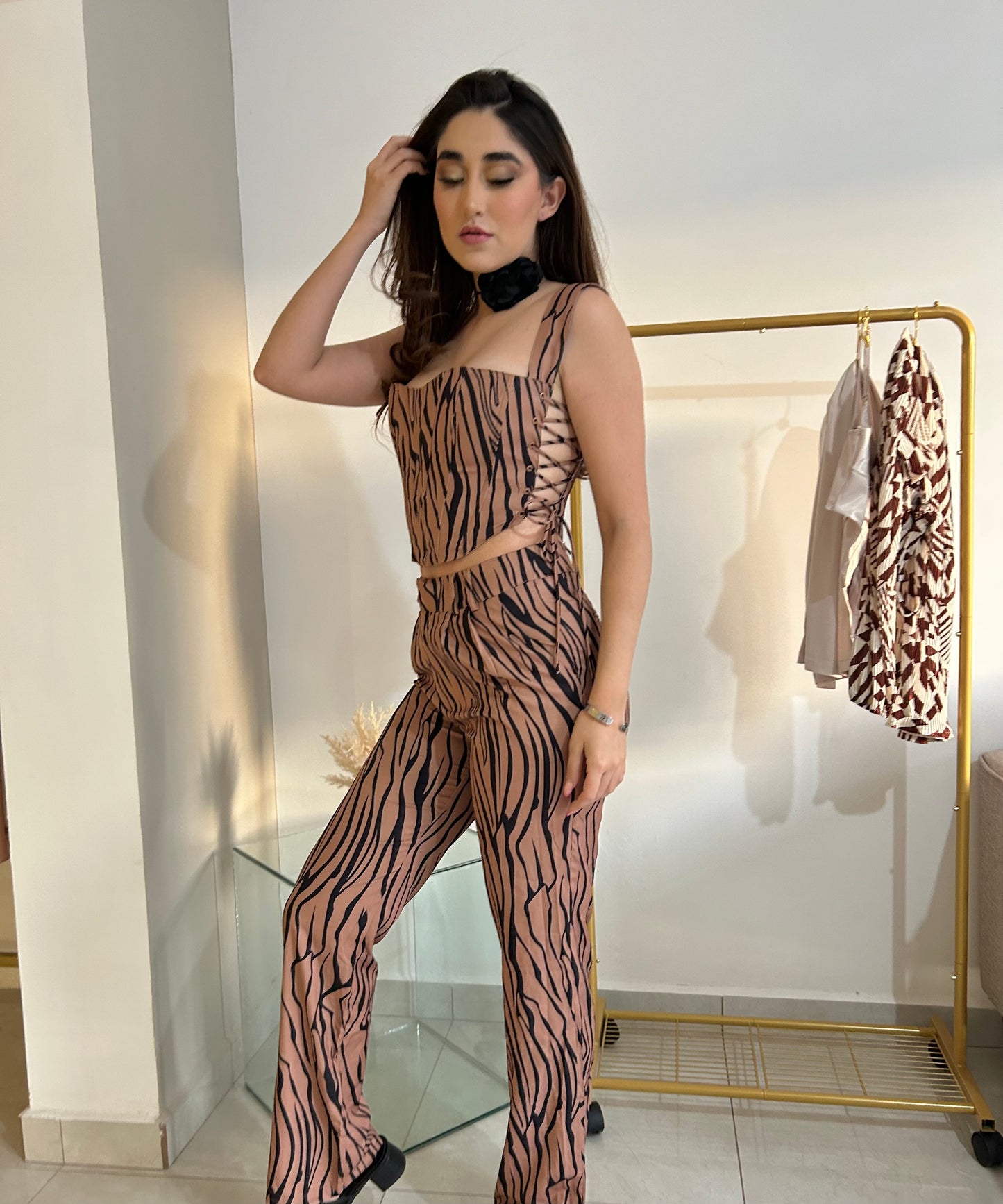 Set Zebra