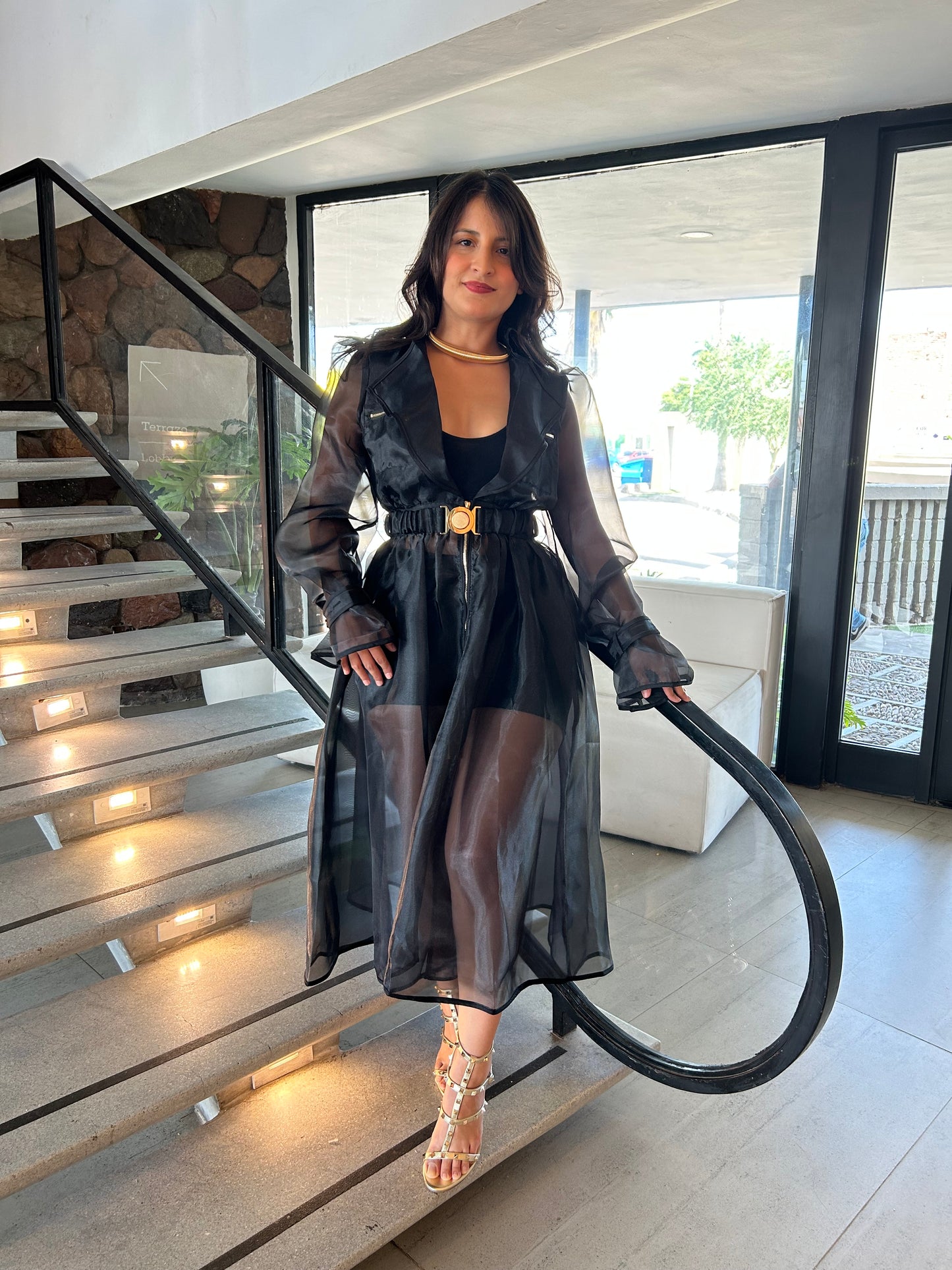 Vestido Black Organza